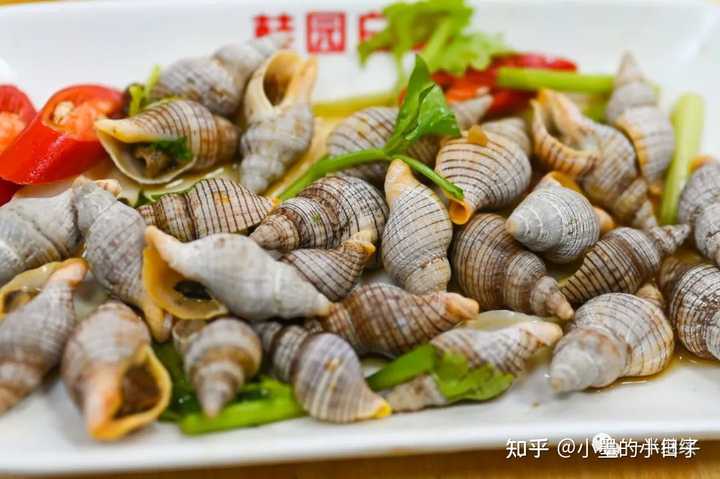 潮汕粉做法_潮汕粉有哪些_潮汕美食粉面